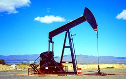 PetroVietnam phải xây dựng 6 kịch bản giá dầu