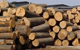 Xuất khẩu gỗ giúp Việt Nam giảm thâm hụt thương mại với Trung Quốc