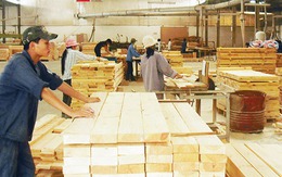 Ngành gỗ bắt đầu chú ý đến nguy cơ phòng vệ thương mại từ Mỹ