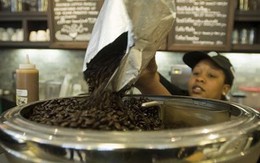 Nhu cầu sử dụng cà phê thế giới tăng gấp đôi trong vòng 20 năm