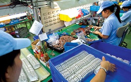 Việt Nam khó trở thành nước công nghiệp vào năm 2020
