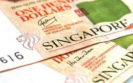 Thị trường biến động, đôla Singapore lên đỉnh sau nhiều năm