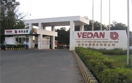 Việt Nam bắt đầu điều tra tự vệ với mì chính Vedan