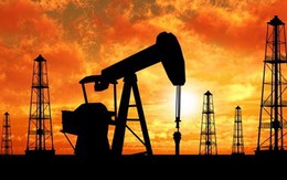 Nhu cầu dầu mỏ tăng với tốc độ nhanh nhất trong vòng 5 năm