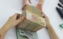 TP.HCM: Tín dụng đến đầu tháng 12 tăng trưởng 11,5%