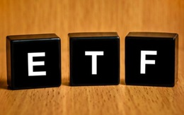 Review VNM ETF: Loại OGC, không thêm cổ phiếu mới nào