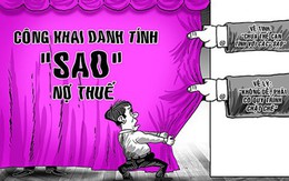 ‘Sao’ trốn thuế, công khai được không?