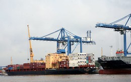 Cộng hòa Séc muốn cân bằng cán cân thương mại với Việt Nam