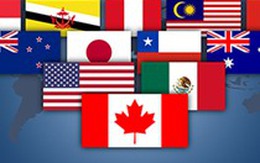 Mỹ "quên" thuế VAT khi đàm phán TPP