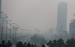 Cháy rừng ở Indonesia gây hiện tượng mù khô tại Sài Gòn