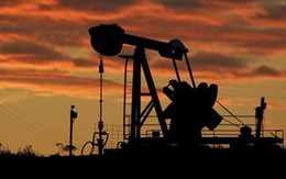 Venezuela sẽ đề nghị OPEC cắt giảm dần sản lượng để nâng giá dầu