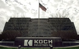 Anh em nhà Koch mất hơn 2 tỷ USD sau một đêm