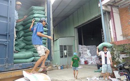 Xuất khẩu gạo tiếp tục gặp khó