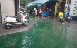 Công an điều tra nguồn nước xanh kỳ lạ ở Hà Nội sau mưa
