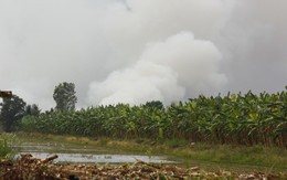 Cháy hàng trăm hecta rừng tràm ở U Minh Thượng