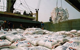 Vào TPP: Việt Nam không cần e ngại trở thành nhà xuất khẩu thay một số nước