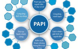 Việt Nam công bố chỉ số PAPI năm 2014