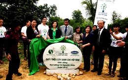 Quỹ 1 triệu cây xanh cho Việt Nam trồng cây tại khu mộ Đại tướng Võ Nguyên Giáp