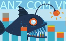 Tên miền anz.com.vn ngừng hoạt động do bị tấn công