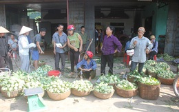 Theo chân vải, thanh long, na Lạng Sơn lại được mùa xuống giá