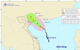 Bão số 1 đang tiến sát Móng Cái, gió giật cấp 10