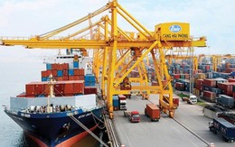 Cần mô hình mới cho phát triển cảng biển Việt Nam
