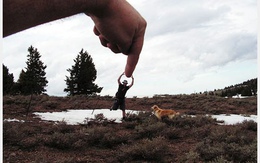 Phiên giao dịch lịch sử 24/8: Tay to đã vào cuộc chơi?