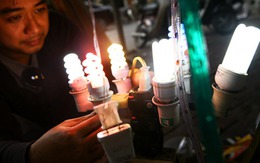 Bóng đèn Điện Quang: "Hụt" 12 tỷ đồng lợi nhuận sau kiểm toán