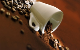 Xuất khẩu cà phê nhân dần nhường chỗ cho cà phê hòa tan