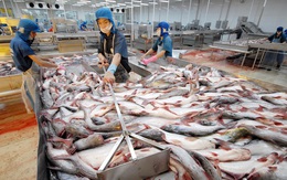 Ngành thủy sản được lợi gì từ FTA Việt Nam - EU?