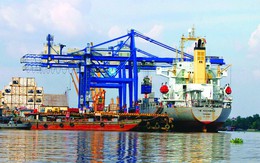 Xã hội hóa cảng biển: Mang lại lợi ích cho nhiều phía