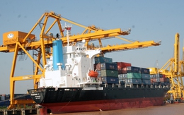 Cảng Hải Phòng: Tổ chức Công đoàn lên kế hoạch mua lại 15% cổ phần từ Vinalines
