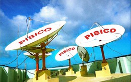 Công ty PISICO Bình Định – CTCP hủy đấu giá do không có NĐT đăng ký