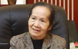 Bà Phạm Chi Lan: “Đừng quá lạc quan về số doanh nghiệp thành lập mới tăng“