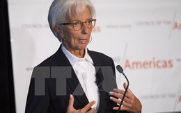 Giám đốc IMF: Kinh tế thế giới 2016 sẽ "khá thất vọng"