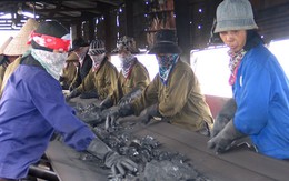Vẫn còn 30.000 công nhân ngành than đang phải nghỉ làm