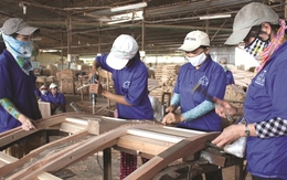 Báo động về năng suất lao động Việt Nam