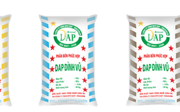 DAP Vinachem đạt 16,1 tỷ đồng LNST quý 2/2015