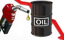 Bộ Tài chính quyết định giảm thuế nhập khẩu dầu diesel