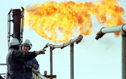 Giá dầu tăng mạnh nhất 25 năm sau tín hiệu của OPEC
