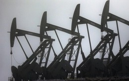 Giá dầu giảm sâu vì USD lên giá