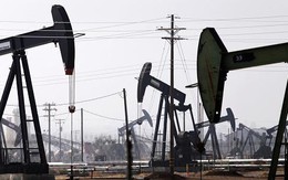 Giá dầu rơi xuống đáy 7 năm