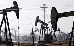 Giá dầu tiếp tục hạ sâu