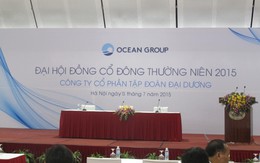 ĐHCĐ OGC lần 2 bất thành: Chuyển nhượng Oceanmart, mảng thương mại bán lẻ vẫn lỗ 970 tỷ đồng