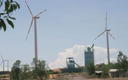 Quảng Trị đầu tư 1.400 tỷ đồng xây nhà máy điện gió