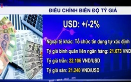 Sếp ngân hàng Vietcombank nói gì về NHNN nới biên độ tỷ giá lên 2%?