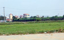 Hà Nội: Giá đất đấu giá cao nhất tại huyện Phú Xuyên là 5 triệu đồng/m2