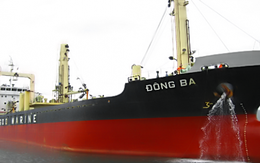 Hàng hải Đông Đô (DDM): 6 tháng lỗ 56 tỷ đồng hoàn thành 70% kế hoạch lỗ cả năm 2015