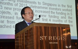 Bộ trưởng Hoàng Tuấn Anh: Sơn Đoòng gây ấn tượng mạnh tại Singapore