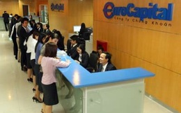 Ông Nguyễn Quang Anh được bổ nhiệm làm tổng giám đốc chứng khoán Euro Capital